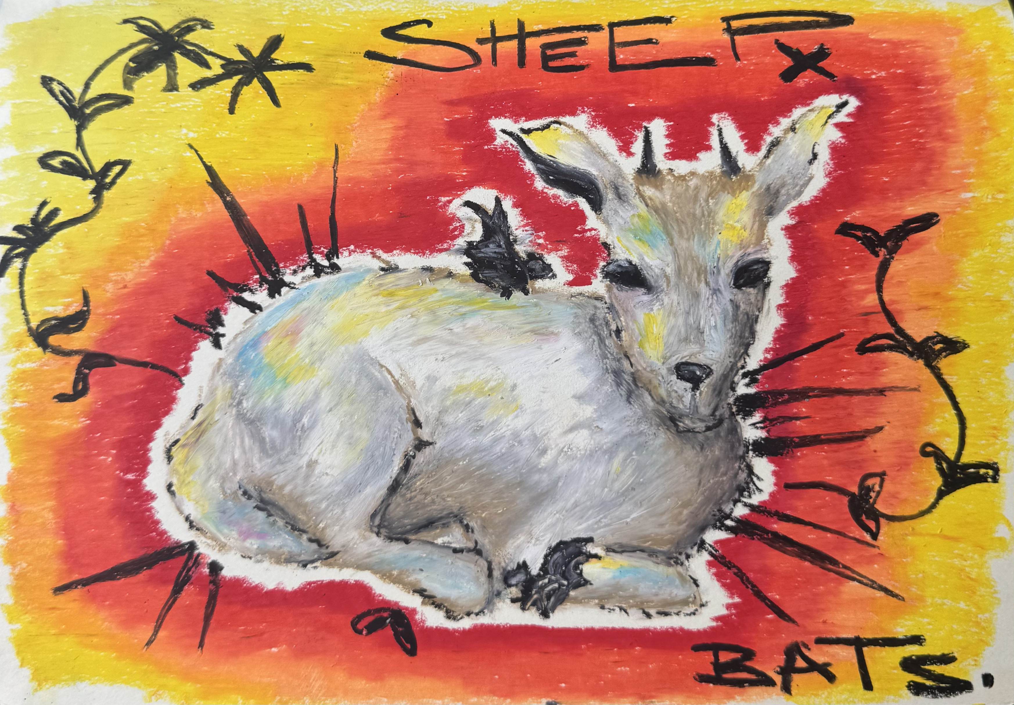 sheep x bats.